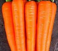 Морковь&nbsp;